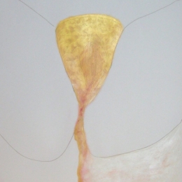 10   |   60cm x 42cm