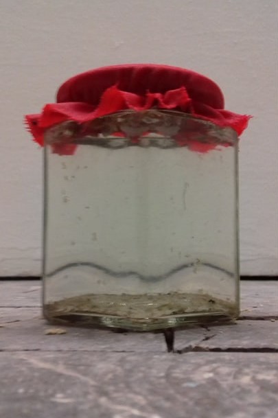 Ein Schraubglas mit rotem Stoffdeckchen darauf. Darin eine leicht trübe Flüssigkeit und schmuddelige Stückchen, die zu Boden sinken.
