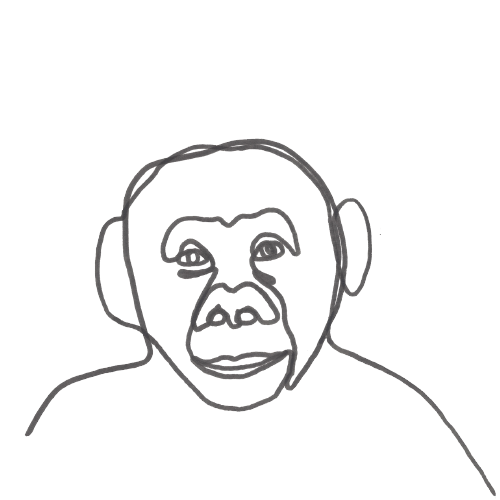 Filzstiftzeichnung eines Schimpansenkopfes. Der Schimpanse schat Dich freundlich an. er ist mit einem Strich gezeichnet. Das Bild verlinkt zu einer Bastelanleitung füt Kletteraffen.