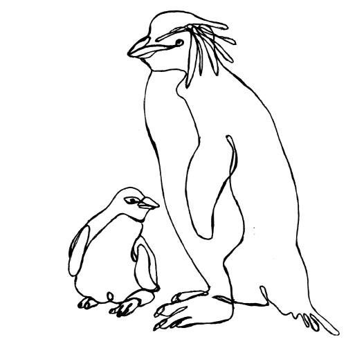 Finelinerzeichnung eines Felsenpinguins und seines Jungen. Jedes Teir ist in einem Strich gezeichnet. Das Bild verlinkt zu einer Bastelanleitung für eine Maske.