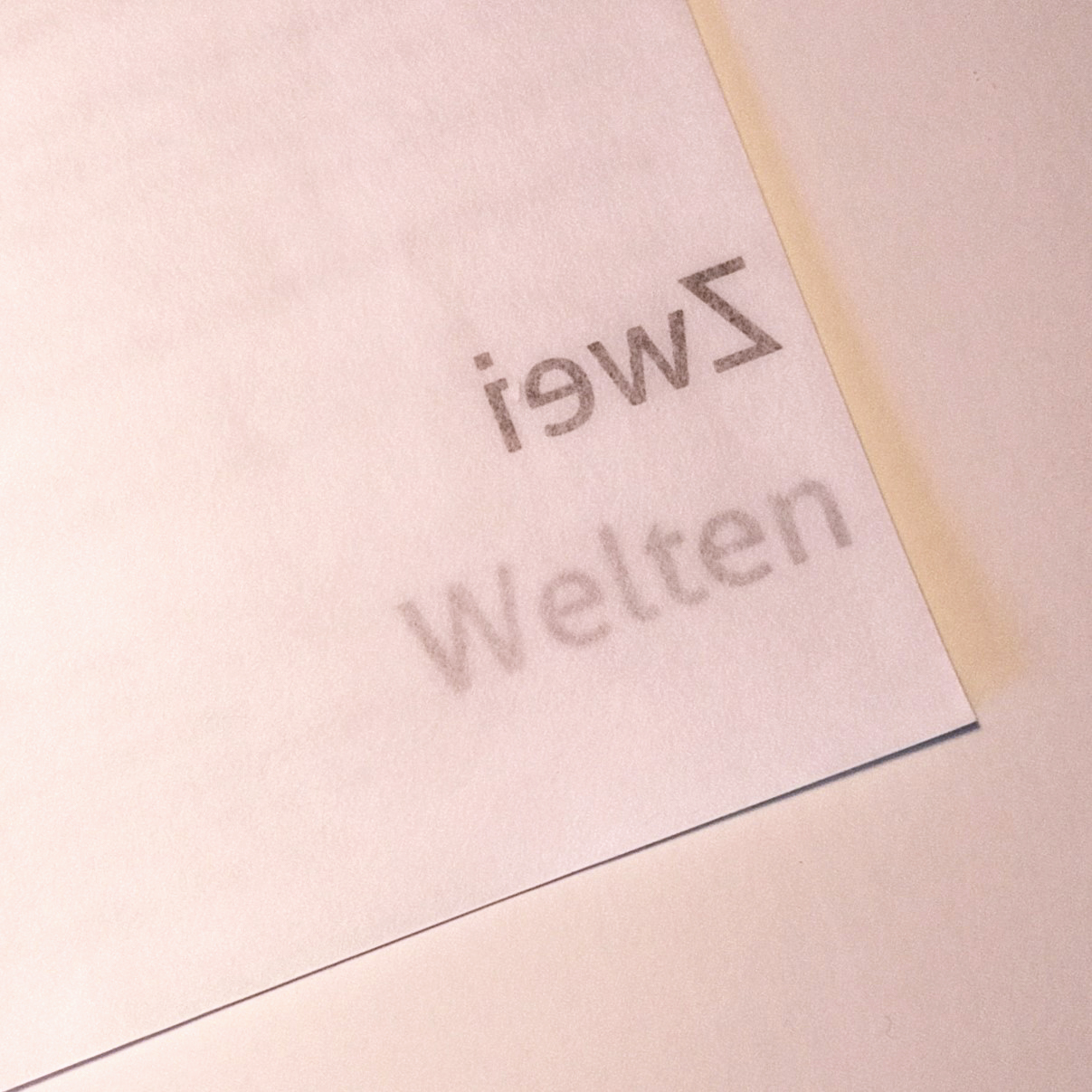 Ausschnitt vom Buchcover "Zwei Welten". Das Papier ist weiß und leicht durchscheinend. An der Vorderkante vom Buch liegt das Papier im Bruch. Von der Papierinnenseite scheint ein Druck durch: "Zwei Welten".